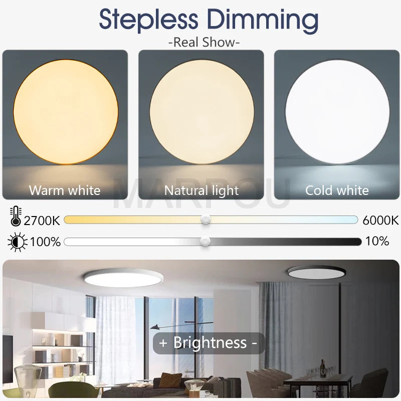 MARPOU Dimmable LED Ceiling Lamp - Modern Bedroom Lighting