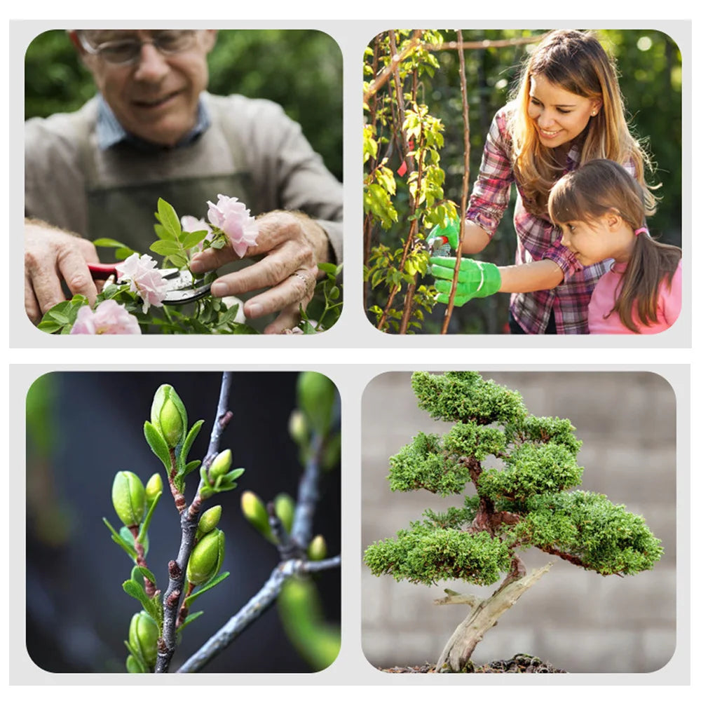 Profesjonalne narzędzia do bonsai: nożyce do korzeni i przycinania ze stali nierdzewnej