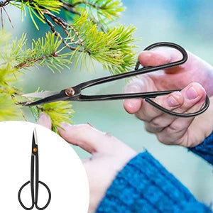 Zestaw narzędzi do bonsai vabena – 24 elementy dla początkujących
