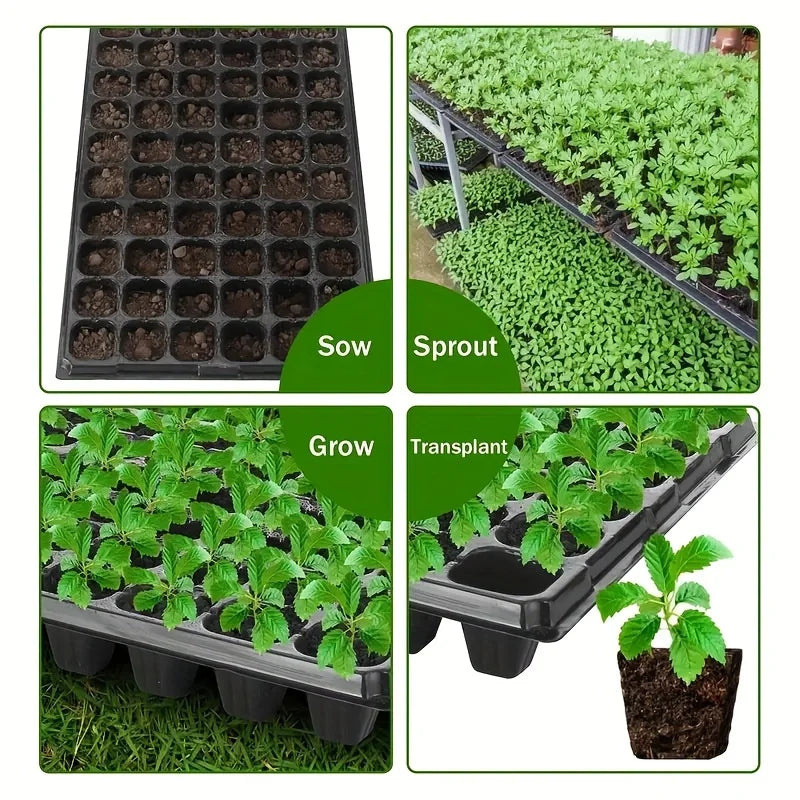 Nursery Seed Starter Tray - Greenhouse & Garden Plant Germination