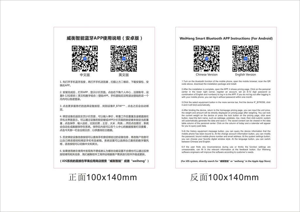 Precision 300kg Bluetooth Crane Scale | USB Digital Hanging Hook
