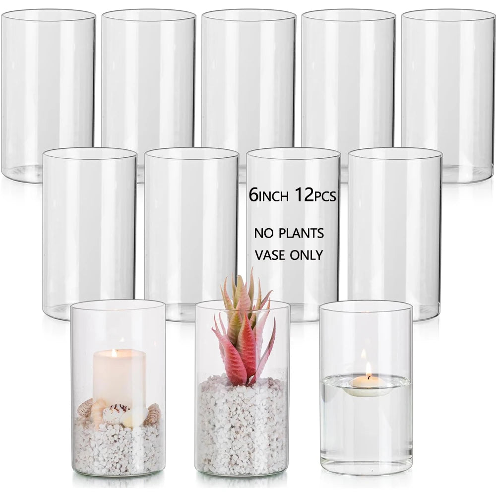 Tall Glass Cylinder Vase | Elegant Hurricane Candle Holder | Modern Home Decor
