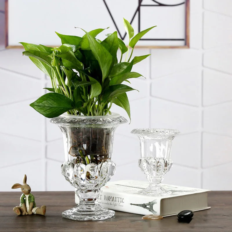 Elegant Clear Glass Flower Vase | Modern Table Decor