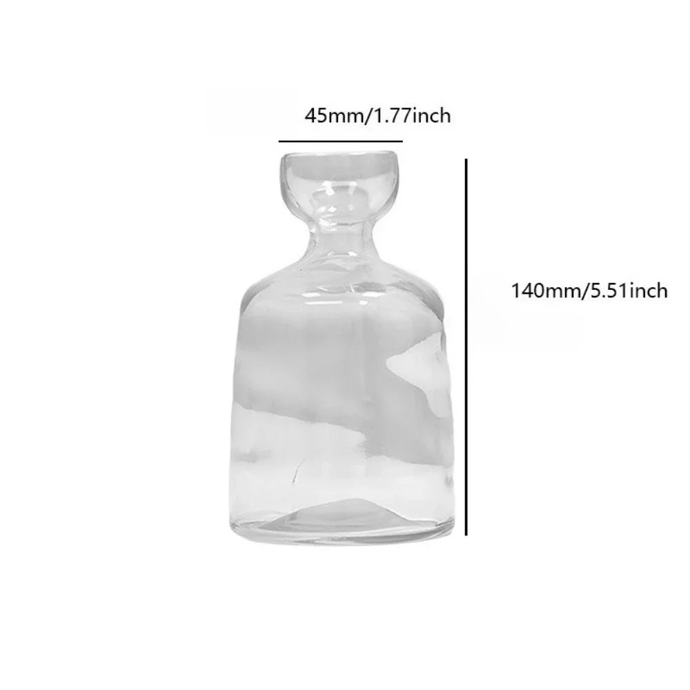 Kreatywna hydroponiczna szklana waza do sadzenia nasion i awokado | nowoczesny wystrój domu