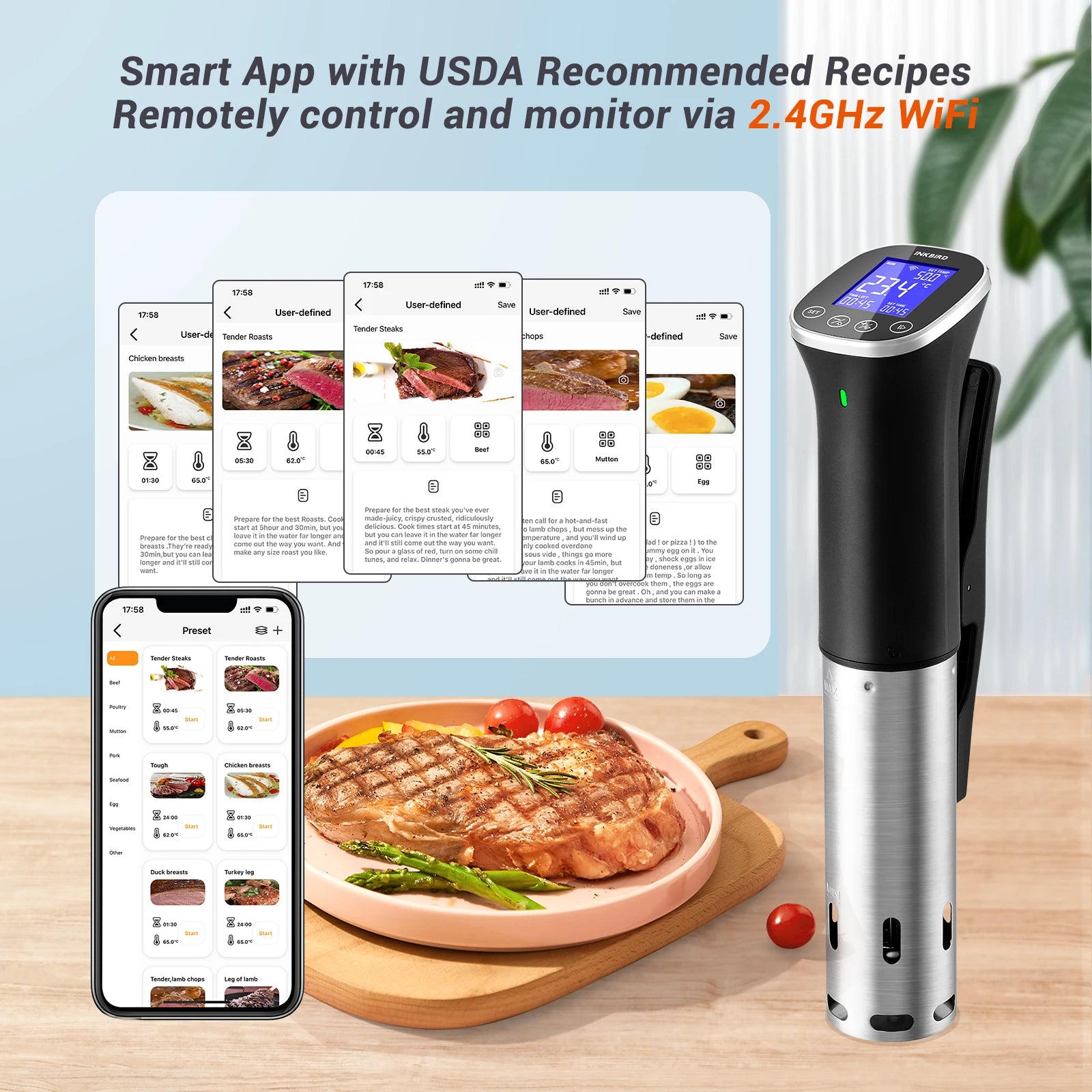 INKBIRD ISV-300W WiFi Sous Vide Machine - Precision Cooking