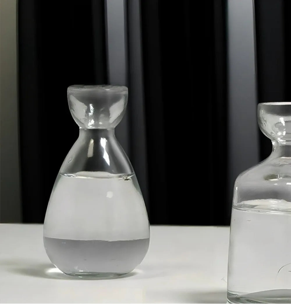 Elegancki wazon hydroponiczny szklany – dekoracja biurka